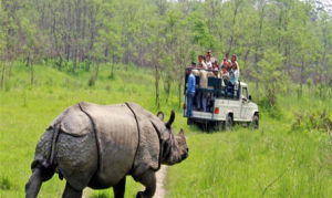 चितवन राष्ट्रिय निकुञ्जभित्रका पर्यटकीय गतिविधि आजबाट बन्द