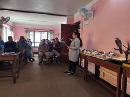 मरेका जीवजन्तुबाट आकर्षक कलाकृति