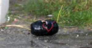 मोरङको बुढीगंगा मतदान स्थलमा विस्फोट, मतदान स्थगित