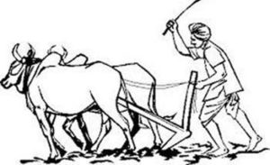 बैतडीका मुक्त हलिया कहिले हाेलान् मुक्त ?, उम्मेदवारकै घरमा ७३ वर्षदेखि हलिया