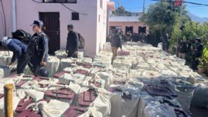 समानुपातिकतर्फ दुई वटा पार्टीले कटाए दुई लाख मत