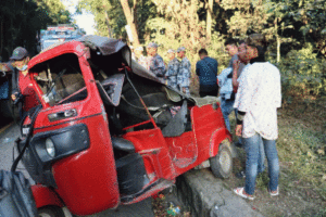 भरतपुरमा एम्बुलेन्स र अटो ठोक्किँदा ६ जना घाइते