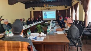 व्युतियो निर्मला पन्त हत्या प्रकरण, अनुसन्धान गर्न डिआइजीको नेतृत्वमा समिति गठन