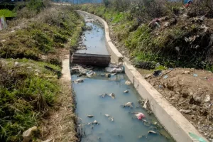 राइनासटार सिंचाइ आयोजना उपभोक्ताको माग सम्बोधन गर्न चम्पावती जलविद्युत आयोजनालाई आग्रह