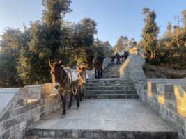 अहिलेसम्म ३ किमि पदमार्ग निर्माण सम्पन्न