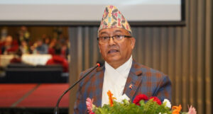 ‘राजनीतिक दल दर्ता खारेजी गरिपाउँ भन्ने अधिकार व्यक्तिलाई छैन : थपलिया