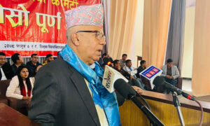 एक साताभित्र सत्तारुढ गठबन्धनकाे भविष्य टुंगो लाग्छ : माधव नेपाल