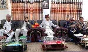 राष्ट्रपति निर्वाचनबारे ठोस निर्णय लिन राप्रपाले बोलायो कार्यसम्पादन समितिको बैठक