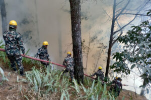 जङ्गलमा लागेको आगो नियन्त्रणमा लिँदै सुरक्षाकर्मी 