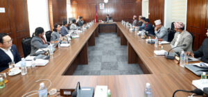 आत्मदाह घटनाकाे उच्चस्तरीय न्यायिक छानबिन गर्न माग