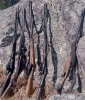 ओढारमा ५ नाल भरुवा बन्दुक फेला