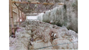 विदेशको कमाइले स्वदेशमा उद्यमी