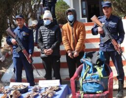 डडेल्धुरामा बाघको हड्डीसहित दुई ब्यावसायी पक्राउ