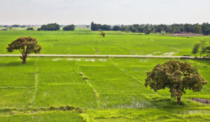 स्थानीय सरकारद्वारा जग्गा वर्गीकरण गरेनन्