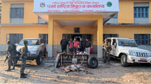 जरायो चोरी सिकारी प्रकरणमा २ सांसदसहित ४९ जना कसुरदार