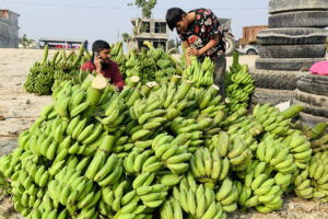 नेपाली केराले नै दसैँ, तिहार र छठ धान्ने, आयात नगर्न अनुरोध