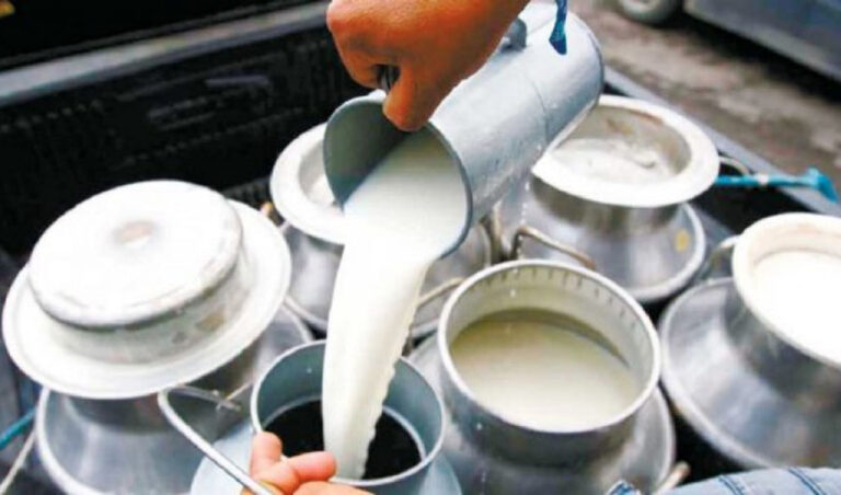 सुदूरपश्चिम दूध उत्पादनमा आत्मनिर्भर बन्दै