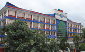 निरन्तर घट्दो नाफाले सङ्कटोन्मुख टेलिकम सेवाप्रदायक