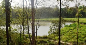 पानीको स्रोत जोगाउन ‘एक सामुदायिक वन, एक पोखरी’ अभियान