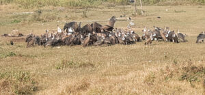 जैविक विविधता अध्ययन केन्द्र बन्दै जटायु रेष्टुरेन्ट