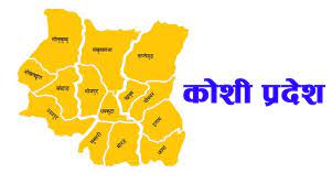 कोशी प्रदेश योजना आयोगको उपाध्यक्षमा उप्रेती