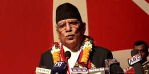 तपाईंहामी सडकबाटै गर्जियौं भनेपनि स्यालहरु लखेटिन सक्छन् : प्रधानमन्त्री