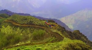 पदमार्गले जोडिँदै करवाकेली–मोहरेडाँडा