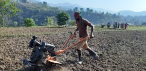 अनुदानले बाँझो जमिनमा खेती गर्ने क्रम बढ्यो