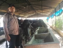 राजकुमारको कृषि कथा : कर्म गर, सफलता मानिसको पछि–पछि आउँछ
