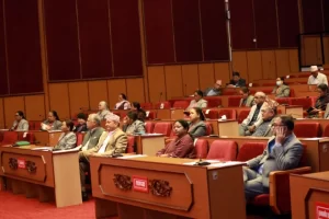 प्रतिनिधिसभाको बैठक दिउँसो ३ बस्दै