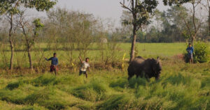उपाय : आरक्षलाई निकुञ्ज बनाउने देखि सहकार्य बढाउने सम्म