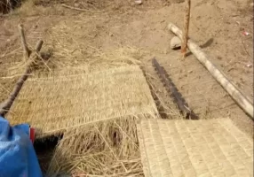 बजारीकरणको अभावमा लोप हुँदै गुन्द्री