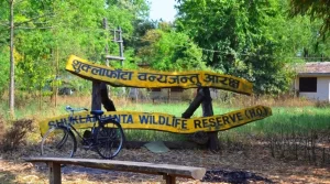 शुक्लाफाँटा राष्ट्रिय निकुञ्जमा दुर्लभ चरा चिनाउन ‘होर्डिङ बोर्ड’