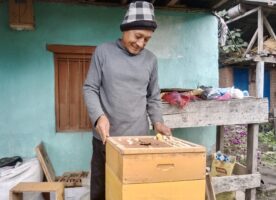 रोङका किसान व्यावसायिक मौरीपालनमा आकर्षित