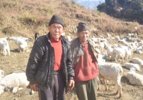 गोठमै मितेरी साइनो लगाउँदा….