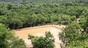 वन्यजन्तुका लागि सामुदायिक वनमा पोखरी निर्माण