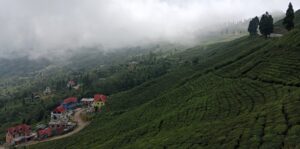 चिया टिप्न हातेमेसिन प्रदान गर्दै सूर्योदय नगरपालिका