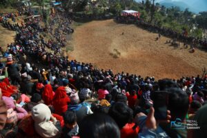 तारुकामा गोरुजुधाइको राैनक [फाेटाेफिचर]