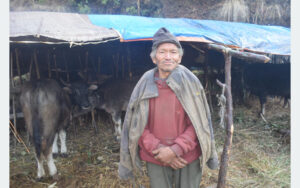 म्याग्दीका घुम्ती गोठ रित्तिँदै