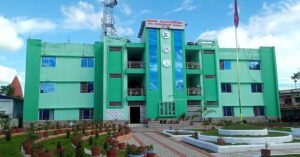 दमकले प्राधिकरणसँग विद्युत् पोल उपयोग गरेबापत भाडा असुल्ने