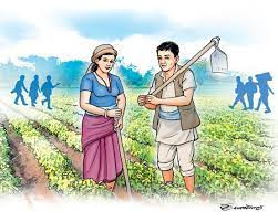 कृषिमा स्वयत् क्रान्तिको चर्चा