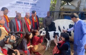 दूध उत्पादनमार्फत किसानको जीवनस्तर उकास्ने ‘मिल्की वे’ परियोजना