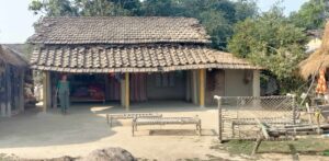 हराउँदै थारु समुदायको परम्परागत पहिचान बोकेका घर