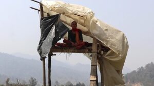 बाली जोगाउन मध्यवर्ती क्षेत्रमा तारजाली