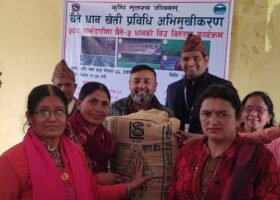 चैते धानको प्रवर्द्धनमार्फत खाद्यान्नमा आत्मनिर्भरता बढाउँदै पोखरा महानगर