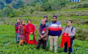 अम्बोटका आमा समूहद्वारा सामूहिक आलुखेती