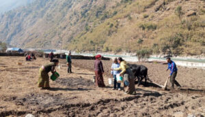 सामूहिक खेतीबाट आत्मनिर्भर बन्दै महिला
