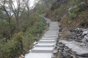 स्थानीय युवाले चन्दा र श्रमदान जुटाएर गरे पदमार्ग निर्माण