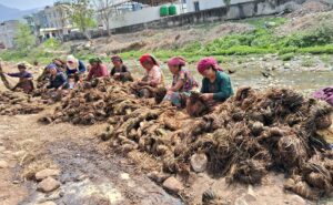 अल्लो उद्योगमा ३५ जना बढी महिलालाई रोजगारी