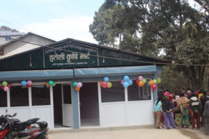 हलेसीमा चिस्यान केन्द्रसहितको कृषि बजार सञ्चालनमा